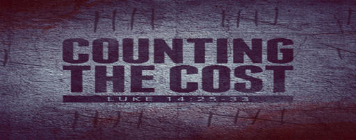 Counting the Costs